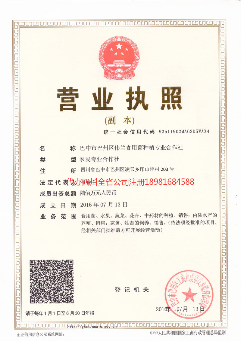 恩平恩平伟兰食用菌种植专业合作社