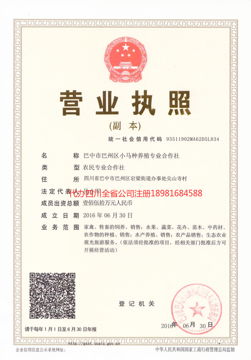 恩平恩平小马种养殖专业合作社